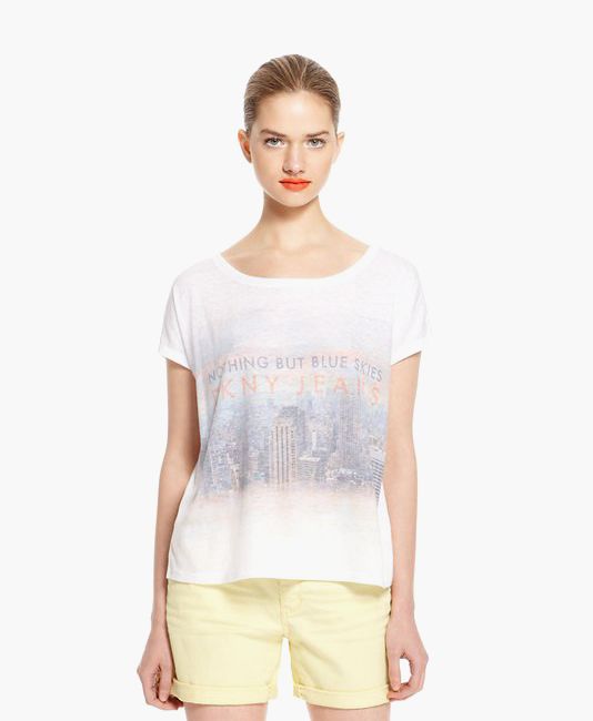 Dinterdum pretium condimento